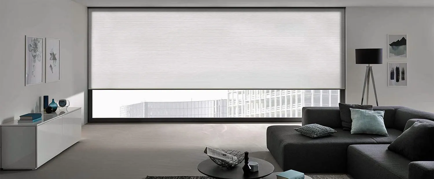 Modern living room with ultra wide single roller shade.