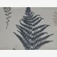 Slate Fern