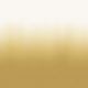 Golden Ombre