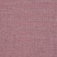 Mauve Rose