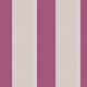 Orchid Stripe