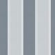 Silver Stripe
