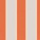 Tangerine Stripe