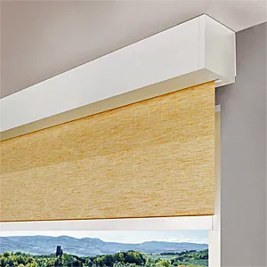 Cassette Roller Shade
