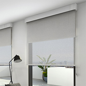 Dual Roller Shade
