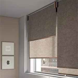 Dual Roller Shade