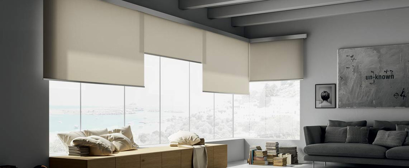Overlap Roller Shade