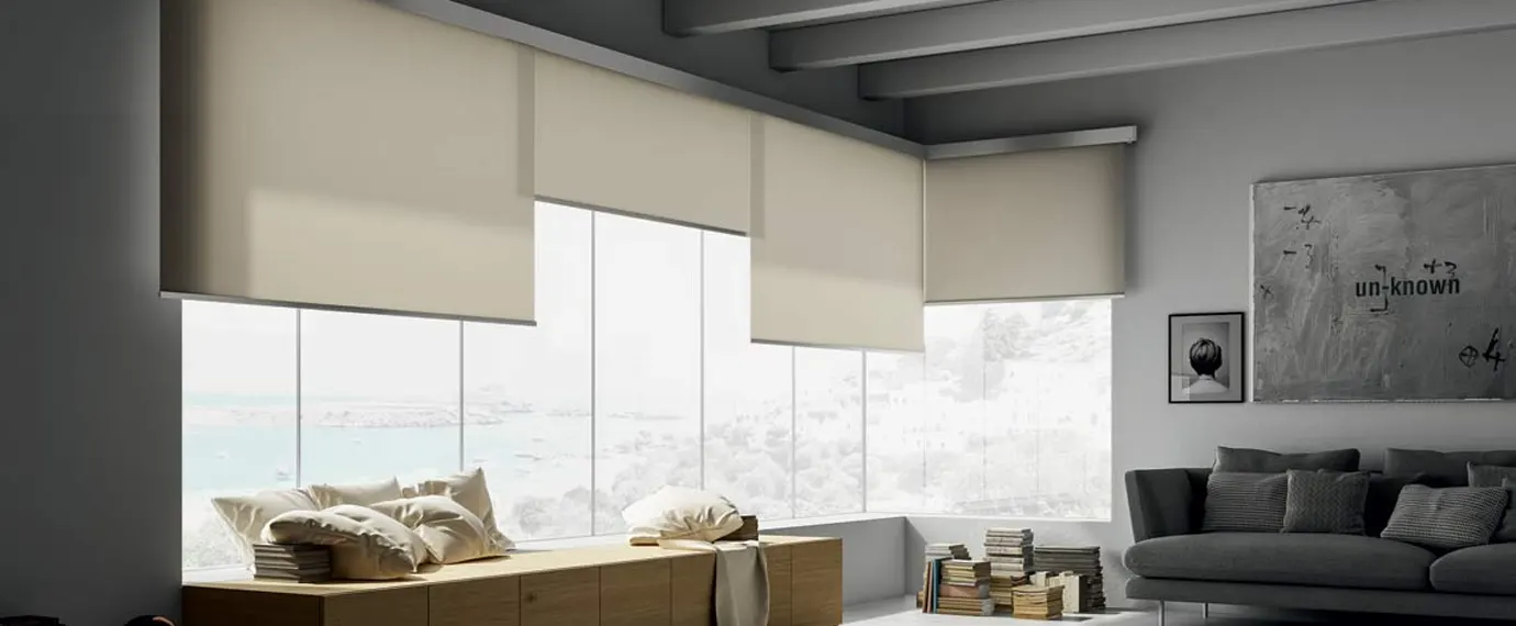 Overlap Roller Shade