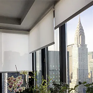 Link to Reversed Roller Shades