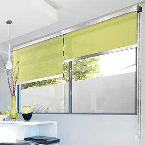 Side by Side Roller Shade