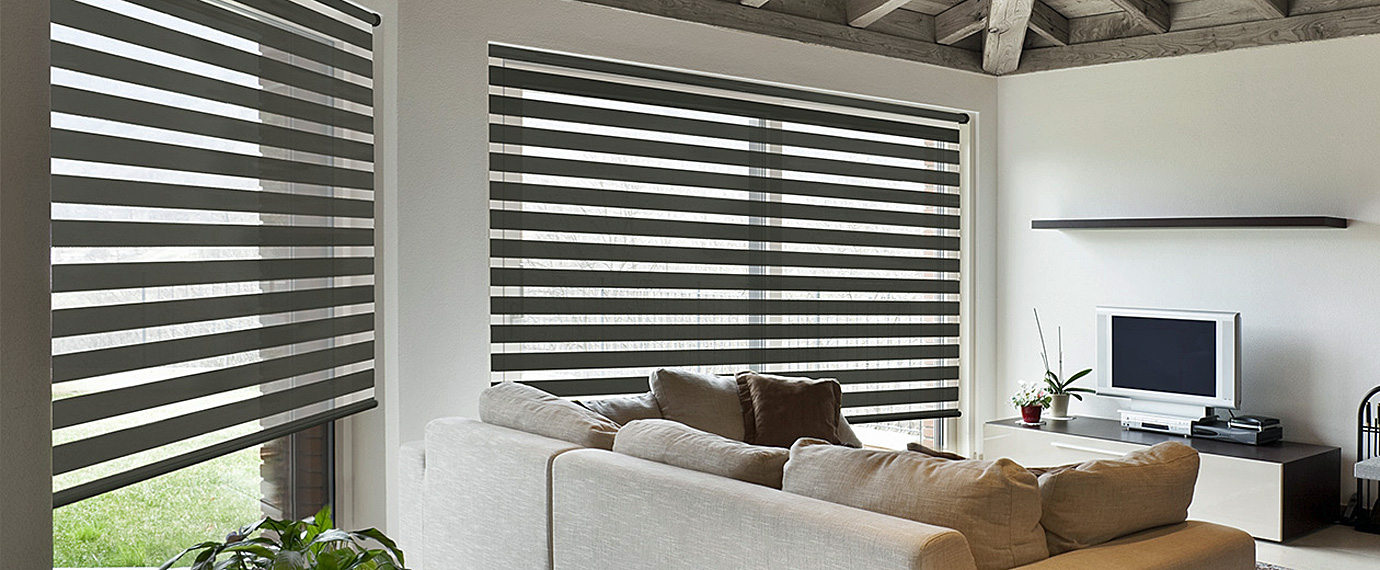 Zebra Roller Shade